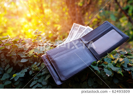 Lost the wallet in jungle 62493809