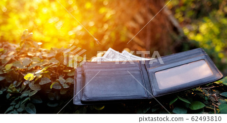 Lost the wallet in jungle 62493810