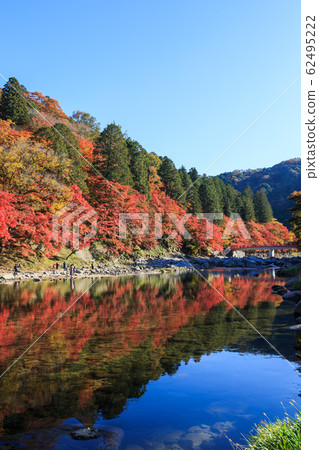 Korankei, a famous place for autumn leaves, Aichi Prefecture Korankei, a famous place for autumn leaves, Aichi Prefecture 62495222