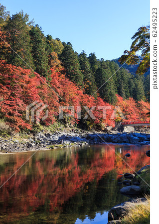 Korankei, a famous place for autumn leaves, Aichi Prefecture Korankei, a famous place for autumn leaves, Aichi Prefecture 62495223
