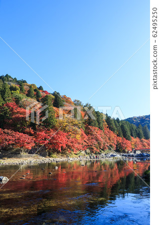 愛知縣紅葉聞名的古蘭經 62495250