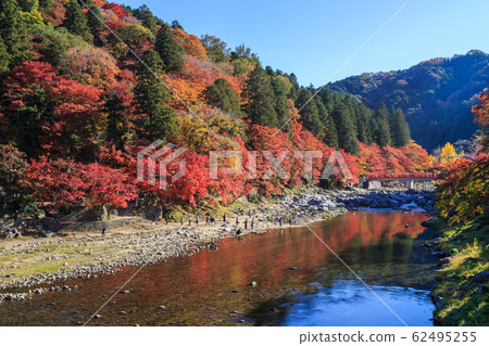 Korankei, a famous place for autumn leaves, Aichi Prefecture Korankei, a famous place for autumn leaves, Aichi Prefecture 62495255