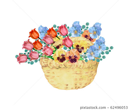 鬱金香和三色堇花籃 62496053