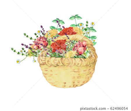 玫瑰和香草花籃 62496054