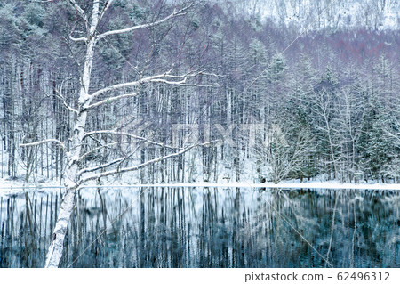 Mikaga Pond, Chino City, Nagano Prefecture 62496312