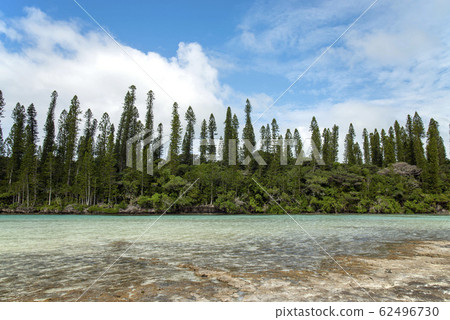 New Caledonia Royayote Islands Ile de Pan Natural Pool New Caledonia Royayote Islands Ile de Pan Natural Pool 62496730