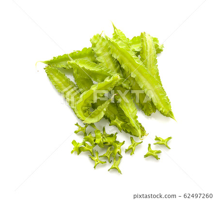 winged bean an isolated on white background winged bean an isolated on white background 62497260
