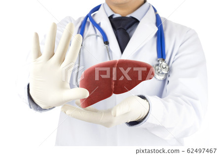 doctor hold liver prevent disease , concept fatty liver 62497467
