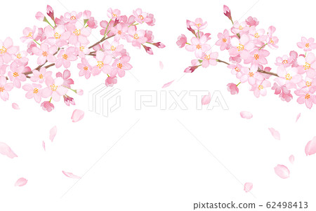 Spring flowers: arched frame of cherry blossoms and falling petals-watercolor illustration trace vector Spring flowers: arched frame of cherry blossoms and falling petals-watercolor illustration trace vector 62498413
