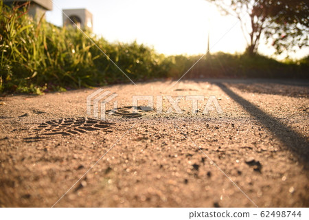 Country road 62498744