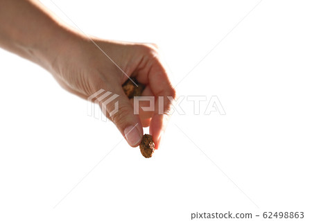 People's hand planting seeds isolated on white background 62498863