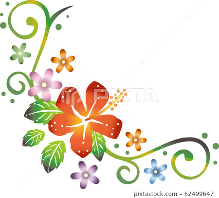 Bingata image illustration @ Hibiscus 62499647