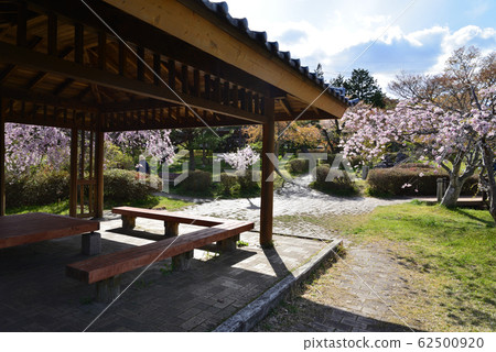 I went to Mt. Onsen # 26 I went to Mt. Onsen # 26 62500920