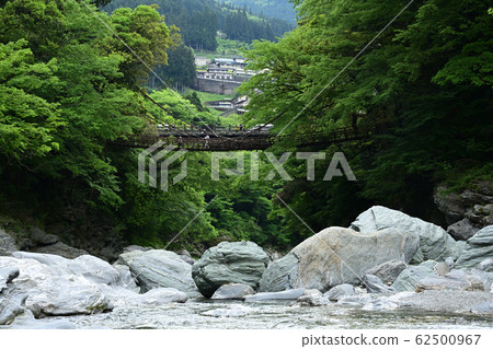 Kazura Bridge in Iya Kazura Bridge in Iya 62500967