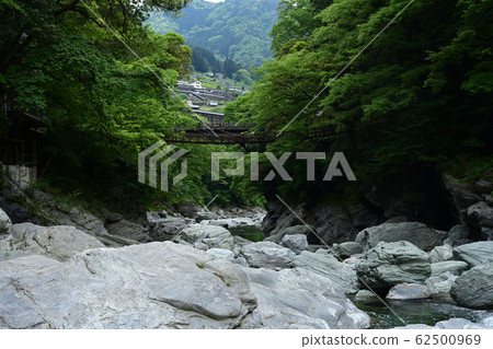 Kazura Bridge in Iya Kazura Bridge in Iya 62500969