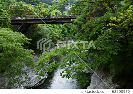 Kazura Bridge in Iya Kazura Bridge in Iya 62500970