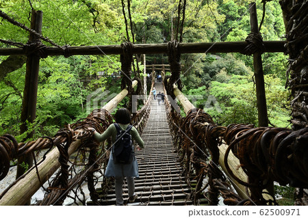Kazura Bridge in Iya Kazura Bridge in Iya 62500971