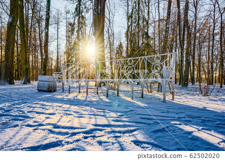 Catherine Park near the palace of the same name, 62502020