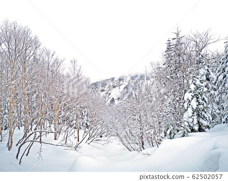 natural snow hill and tree in Japan Yatsugatake mountains natural snow hill and tree in Japan Yatsugatake mountains 62502057