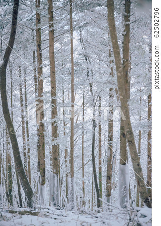 White world White world 62502796