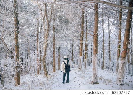 White world 62502797