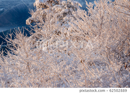 White world 62502889