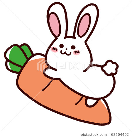 手繪可愛的白兔子和大胡蘿蔔 62504492