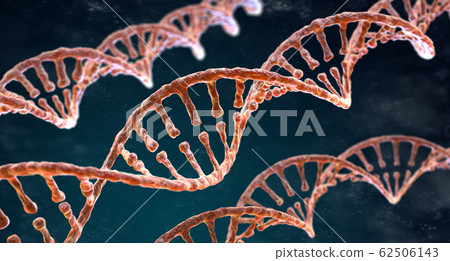 Spiral strands of DNA on the dark background 62506143