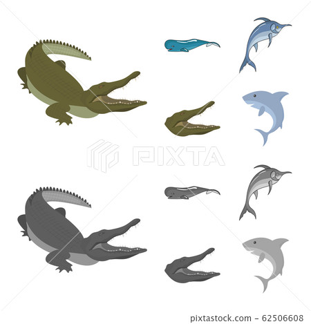Isolated object of sea and ocean sign. Collection of sea and reptiles stock symbol for web. 62506608