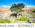 Mountains and trees 62506625