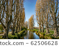 River and tree 62506628