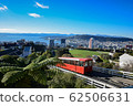 Wellington 62506631
