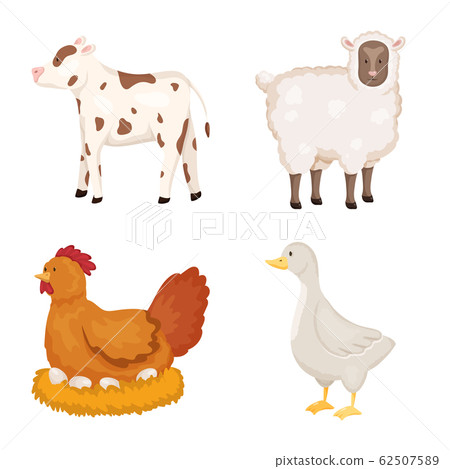 Vector design of farm and food icon. Set of farm and countryside vector icon for stock. 62507589