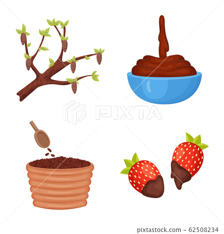 Vector design of cocoa and beans symbol. Collection of cocoa and sweetness vector icon for stock. Vector design of cocoa and beans symbol. Collection of cocoa and sweetness vector icon for stock. 62508234