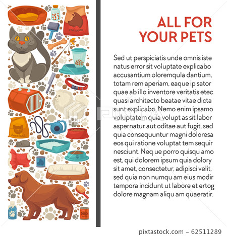 Pet shop, cat and dog food and care goods banner 62511289