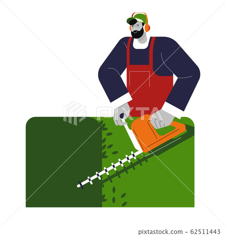 Gardener shaping or cutting bushes in garden, isolated character 62511443