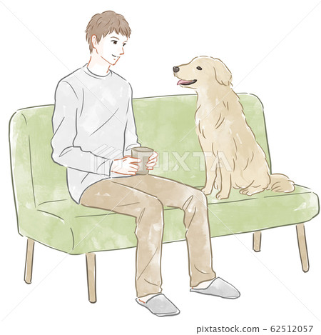 dog sitting on sofa