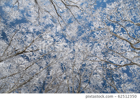 有霧的冰  有霧的冰 62512350