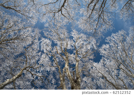抬頭望著藍天和白霜 62512352