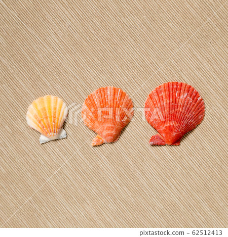 Red color seashell on beige fabric background 62512413