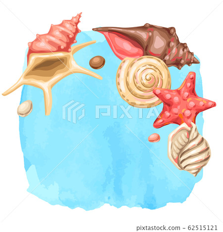 Background with seashells. Tropical underwater mollusk shells. Background with seashells. Tropical underwater mollusk shells. 62515121