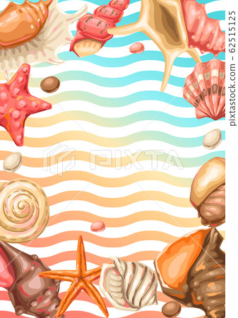 Frame with seashells. Tropical underwater mollusk shells. Frame with seashells. Tropical underwater mollusk shells. 62515125