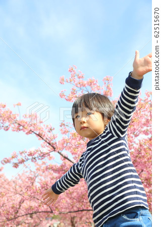 川津櫻和兒童 川津櫻和兒童 62515670