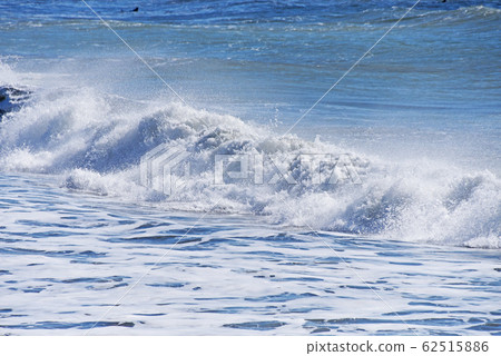 海濱 62515886