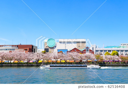 Sakura Mint Bureau Osaka Sakura Mint Bureau Osaka 62516408