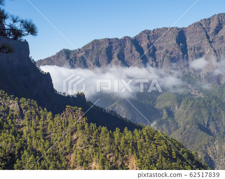 Volcanic landscape and lush pine tree forest, pinus canariensis view from Mirador de la Cumbrecita viewpoint at national park Caldera de Taburiente, volcanic crater in La Palma, Canary Islands, Spain 62517839