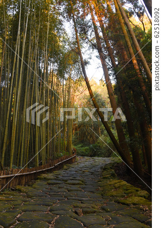 Bamboo grove and stone pavement of Ryoji Mojizaka 62518092