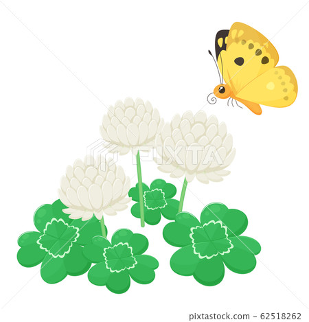 Illustration of white clover and four-leaf clover _ Colias 62518262