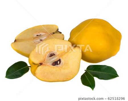 Fresh yellow quinces on white Fresh yellow quinces on white 62518296