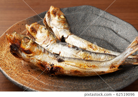 Sardine rounding Sardine rounding 62519096